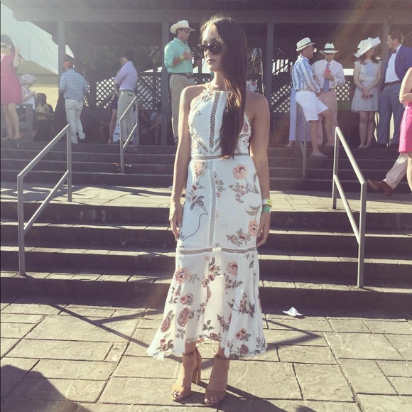 🦋 - Picture 3 of 6